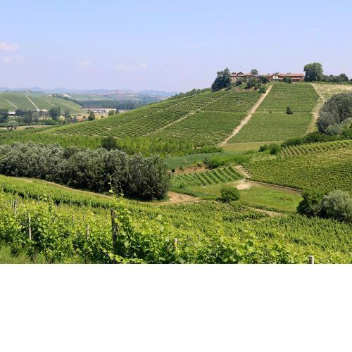 Tenuta Montanello B&B