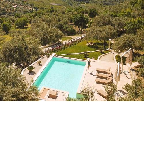 Tenuta Olive Alive