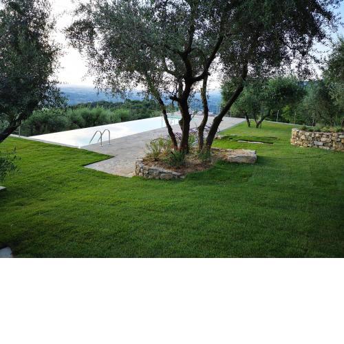 Tenuta San Giovanni Lucca - Borgo Ai Rovai