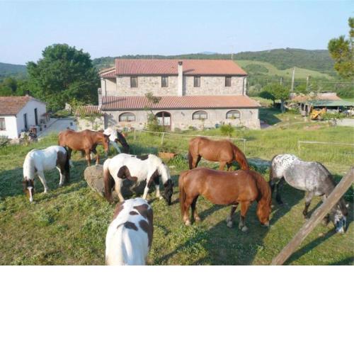 Tenuta Sant'Agnese