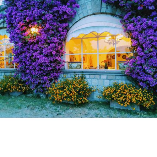 Tenuta Villa Tara