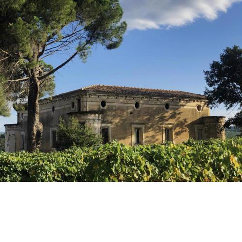 Tenute Pacelli - Azienda Agricola