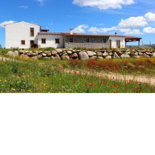 Tenute Testoni Agriturismo e B&B