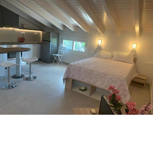 Terpsichore boutique Bright new Sofita studios and appartment