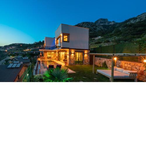 TERRA LİVA