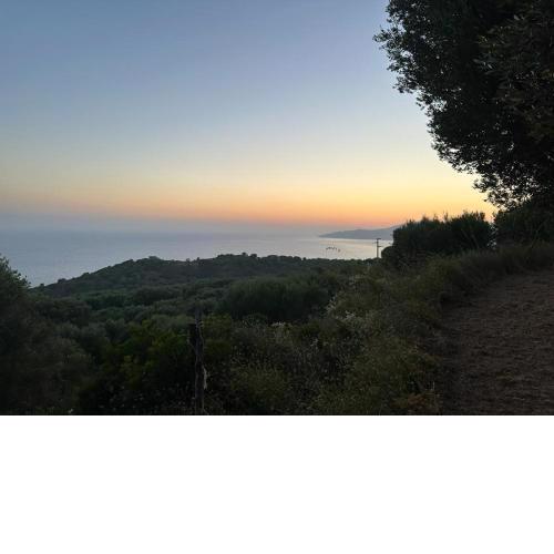 Terra mia Cilento