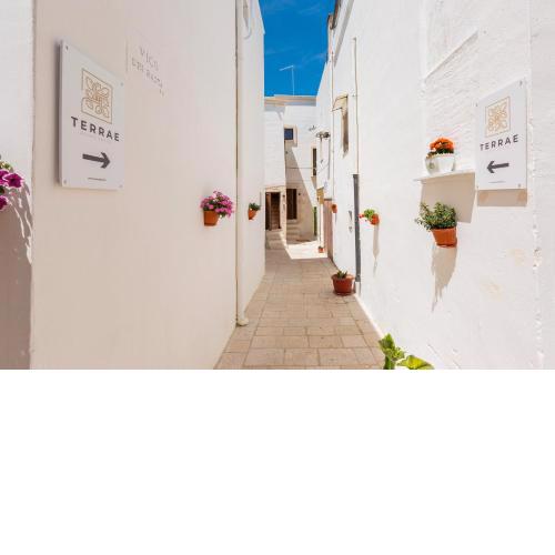 Terrae Rooms Rental