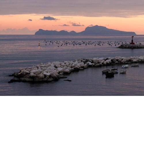 Terrazze del Lungomare
