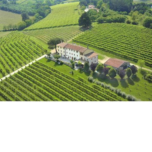 Terre Boscaratto