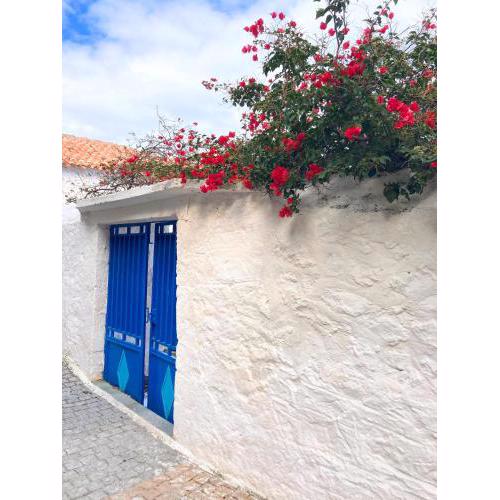 THALASSA New house