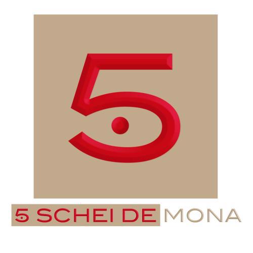 The 5 SCHEI DE MONA Circuit is The Unique Venetian Style Widespread Concierge Service in Venice with a dedicated Live Personal Assistant - Contact us to know which Concierge Services are included in each Booking c o m plan listed