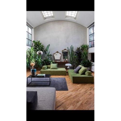 The amazing green Loft