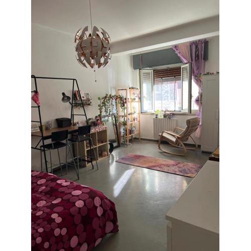 The Andrea’s Room