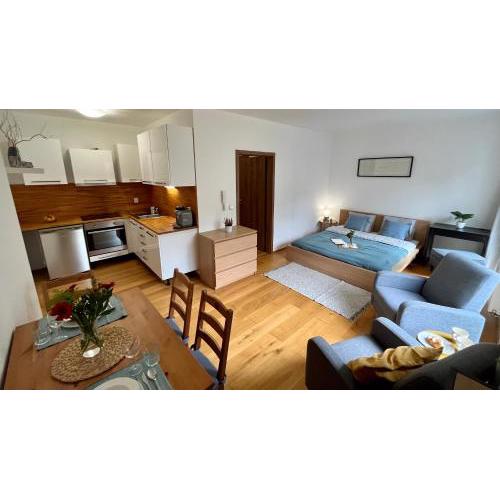 The apartment close to the city center and O2 arena