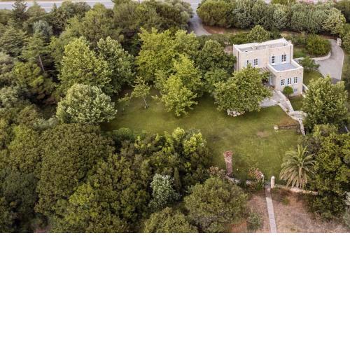 The Beach House