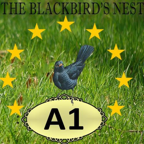 The blackbird's nest