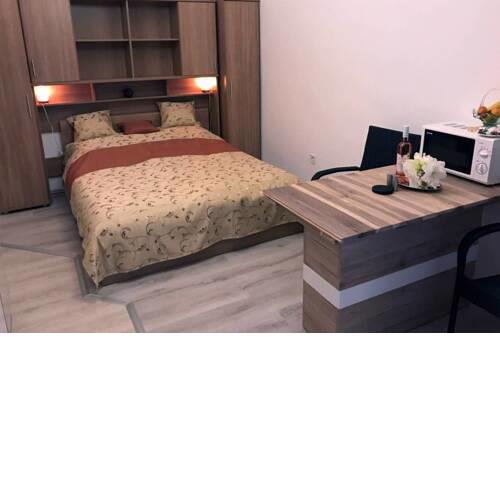 The Blaha Studio Apartment with AC