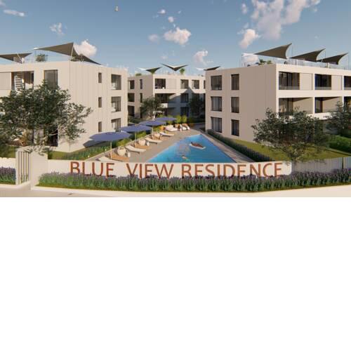 The Blueview