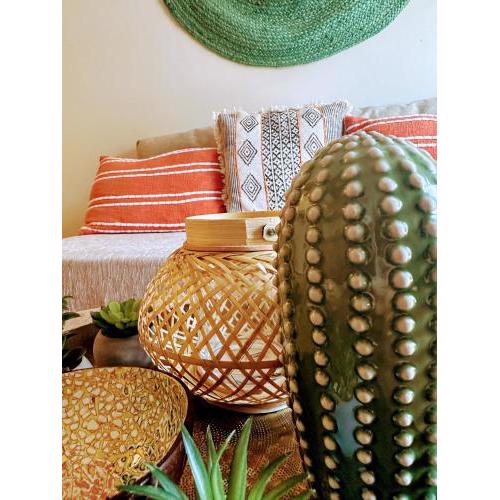 The Cactus Project