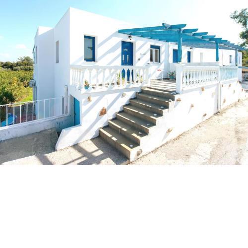 The Citrus House