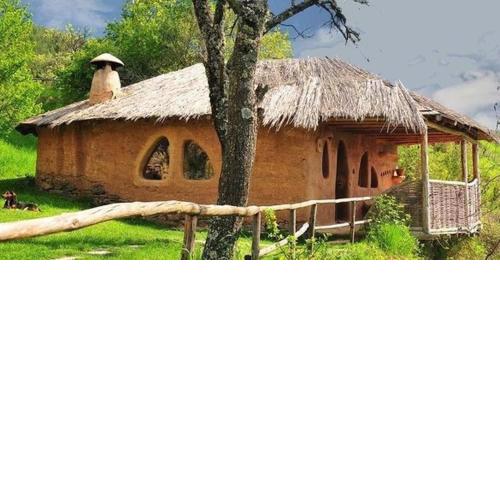 The Clay House