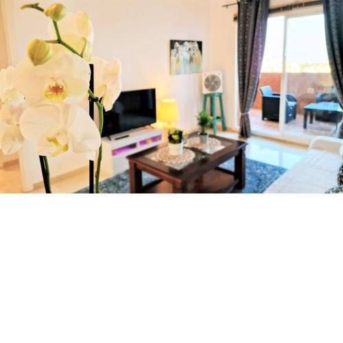 The Diamond Sea Views Eco Apartment in Riviera