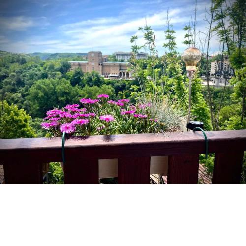 The Green Guest House of Veliko Tarnovo