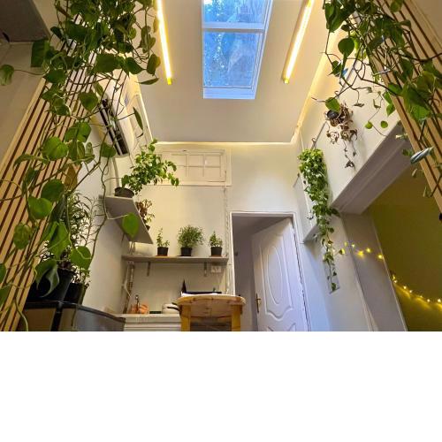 The Greenhouse
