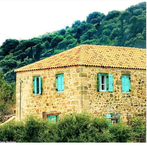 The House. Light & Stone.