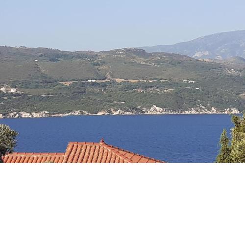 The Kalivi