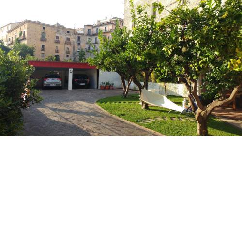 The Lemon Tree House