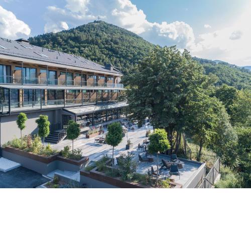 The Lynx Mountain Resort