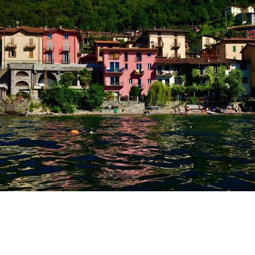 The Nest on the Lake