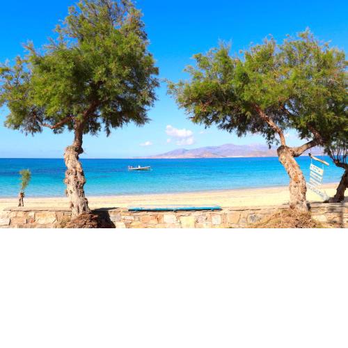 The Nine Graces - Agios Prokopios Beach Villas with Private Swimming Pools