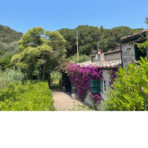 The Old Mill with Private Garden and Torrent