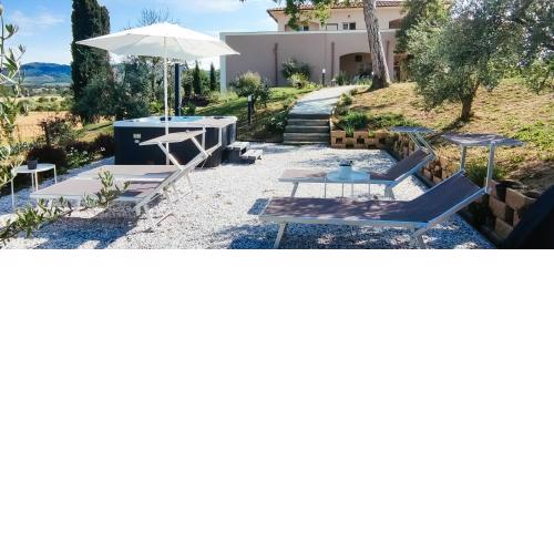 The Olive Grove in Tuscany