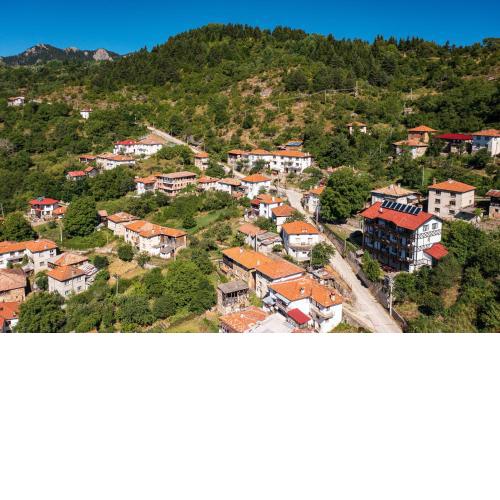 The Pine Levochevo - Guesthouse and Coworking space