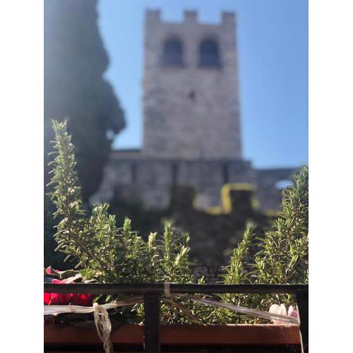 The Queen Tower