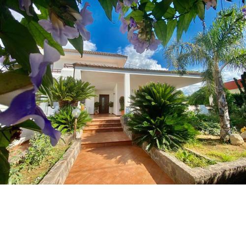 The Rosa's Luxury House