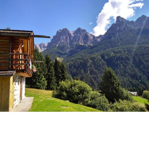 The "small" Alpine Chalet & Dolomites Retreat
