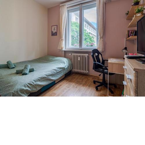 The Top Spot - Cute Little Studio in the Center