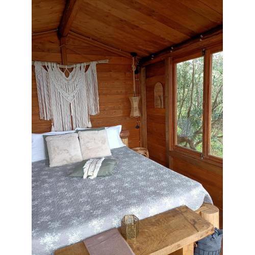 The Treehouse - Casa sull'albero al Golden Camp