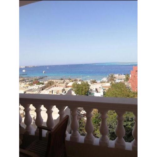 The view