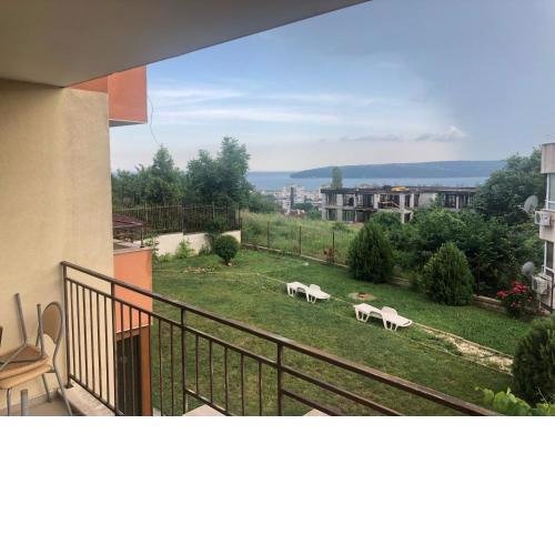 The View