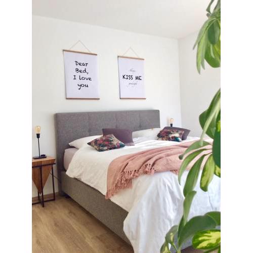 thecozyNEST