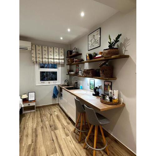 Theodore's cosy apartment