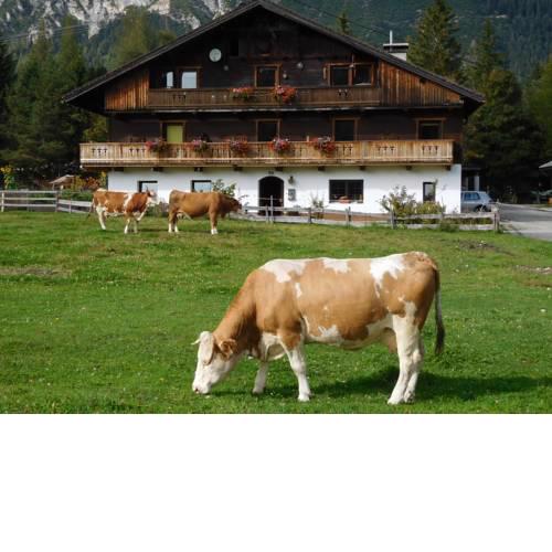 Thoamlhof
