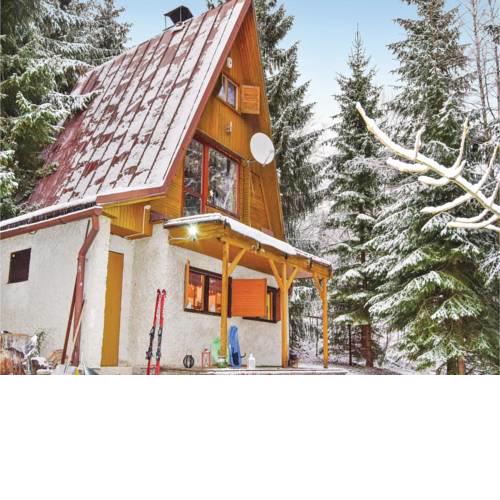 Three-Bedroom Holiday Home in Donovaly