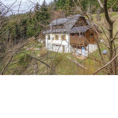 Three-Bedroom Holiday Home in Wolfsberg