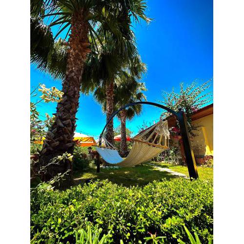 Three Palms Suites